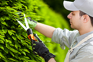 kertgondoz�s Balatonf�ldv�r