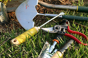 kertgondoz�s Balatonf�ldv�r